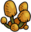 Mushrooms graphic